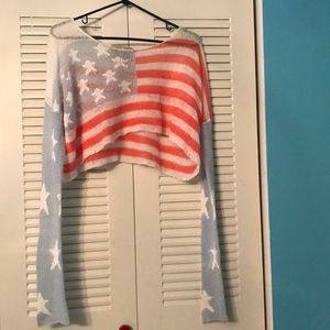 Wild fox American flag long sleeve crop top